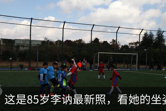 这是85岁李讷最新照，看她的坐姿，终于明白她为何没去纪念堂！